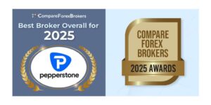 best broker overall for 2025 awards